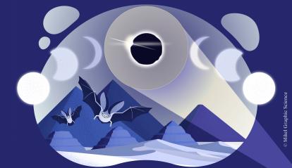 Imagen ilustrativa del taller «¿Por qué se hace de noche en pleno día?».