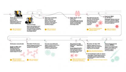 Infografia sobre l'evolució de la immunologia (part 2).