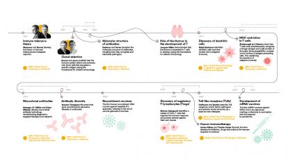 Infographic of the evolution of immunology (part 2).