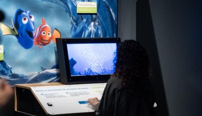 Una visitante interactúa con el módulo de simulación del movimiento de los peces.