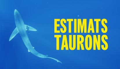 Estimats taurons, dirigit per Ana Montserrat. 