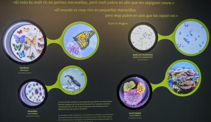 Mur que mostra la biodiversitat de la Terra a l'exposició.