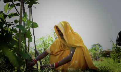 Emrati, residente en Khajuraha Bujurg, recolectando su cosecha.