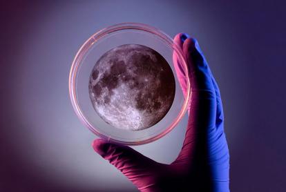 CosmoCaixa Nit de la Recerca
