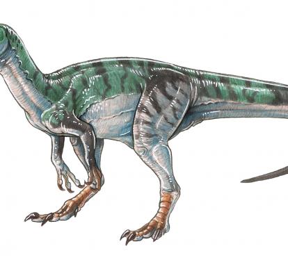 Herrerasaurus ischigualastensis.