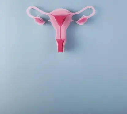 Ilustración del sistema reproductor femenino para el debate CaixaResearch «Endometriosis: una enfermedad silenciosa que afecta a una de cada diez mujeres».