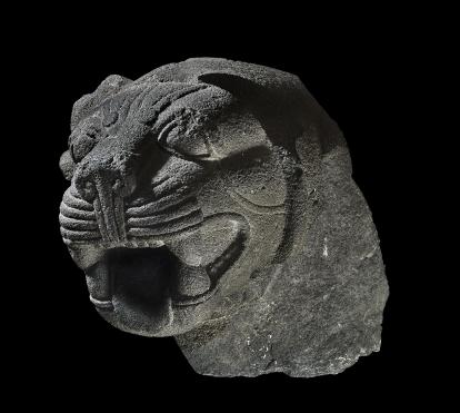 Cabeza de basalto gris de un león rugiente, siglo IX a. de C., Carcamís (frontera entre Siria y Turquía). 1927,1114.5.