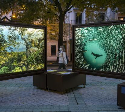 De Polo a Polo, un viaje a los grandes paraísos naturales se podrá visitar hasta el 10 de noviembre de 2020 en Pamplona.