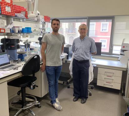 Ferran Nadeu y Elías Campo, investigadores principales del estudio.