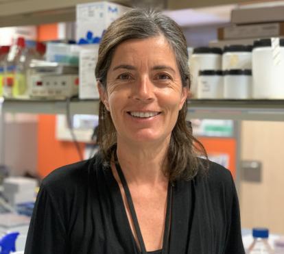 Maria Rosa Sarrias, del Instituto de Investigación Germans Trias i Pujol (IGTP). Investigadora principal del proyecto: Un anticuerpo monoclonal para el tratamiento contra el cáncer.