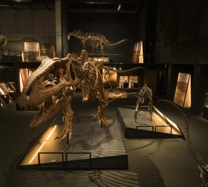 El Tyrannotitan chubutensis era otra de las especies más grandes de la antigua Patagonia. Fue un terópodo, es decir, se desplazaba con sus patas traseras.