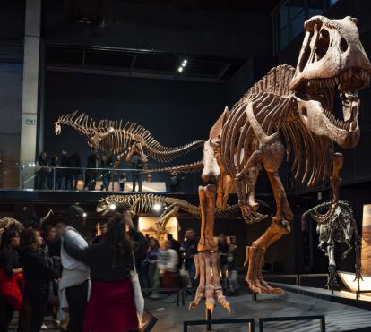 Exposició Dinosaures de la Patagònia al Museu de la Ciència CosmoCaixa.