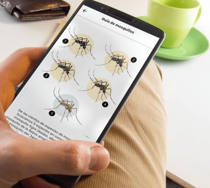 La app  Mosquito Alert incluye más de 69.500 informes de mosquitos y 30.000 de picaduras.