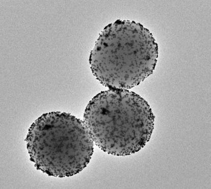 Imatge de microscòpia electrònica de transmissió dels nanorrobots. © Institut de Bioenginyeria de Catalunya (IBEC).