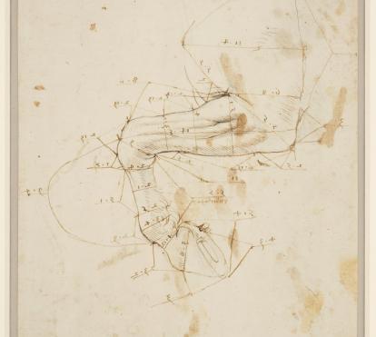 Dibujo de la parte delantera de un caballo. Hacia 1490-92. Dibujos de Leonardo da Vinci. Plomo, pluma y tinta. Royal Collection Trust. 