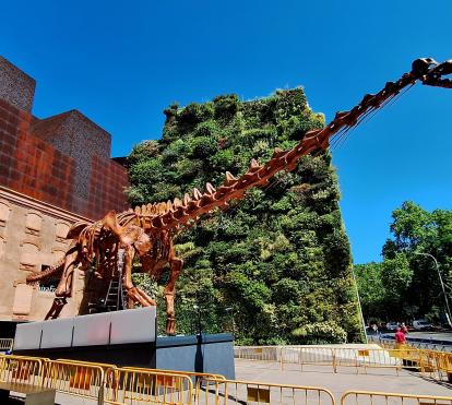 Réplica del esqueleto del patagotitan mayorum en CaixaForum Madrid.