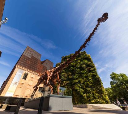 The star of the exhibition is the Patagotitan mayorum. 