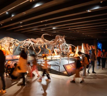 Audience at the exhibition “Dinosaurs of Patagonia” at CaixaForum Madrid.