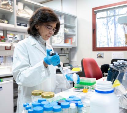 Dolores Pérez-Sala al laboratori.