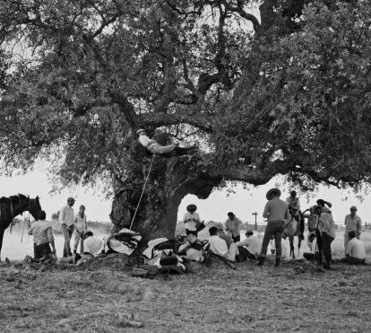 Fotograma del documental "La Marisma".