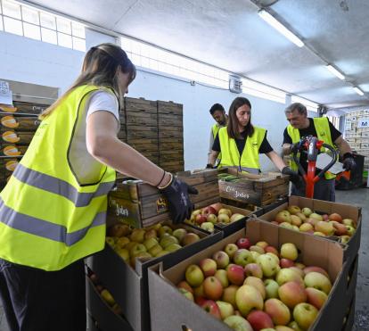 Recollida d'aliments en el magatzem per a distribuir als bancs d'aliments