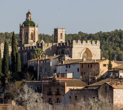 Vista general del Real Monasterio de Santes Creus.