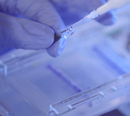 Using a pipette in the laboratory.