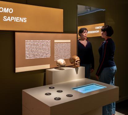 L'exposició mostra l'evolució de les espècies.