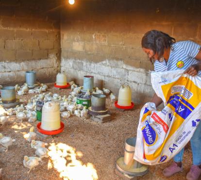 Assucenia José working on her chicken farm.