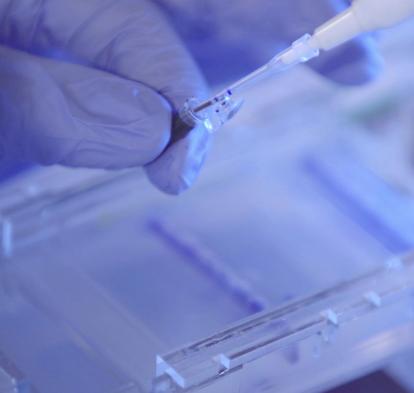 Utilització d'una pipeta al laboratori.