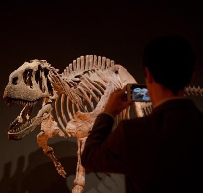 Réplica de eoabelisaurus mefi. 