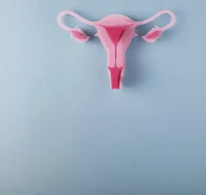 Il·lustració del sistema reproductor femení per al debat CaixaResearch «Endometriosi: una malaltia silenciosa que afecta una de cada deu dones».