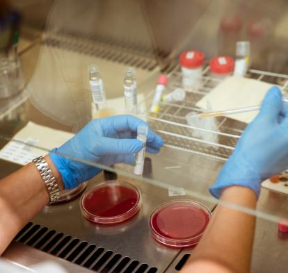 Una investigadora, en un laboratorio.