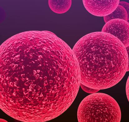 Bacterias del género Streptococcus responsables de la meningitis y otras enfermedades infecciosas graves.