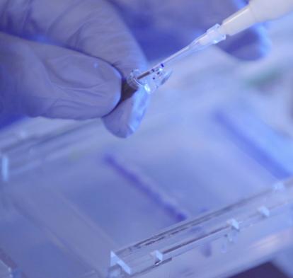 Utilització d'una pipeta al laboratori.