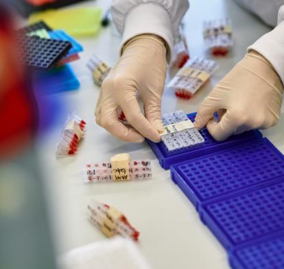 La convocatoria premia proyectos de investigación básica, clínica y traslacional. 