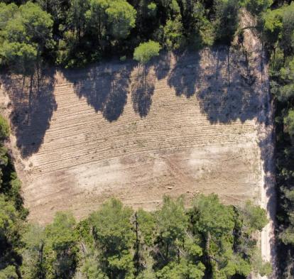 Un bancal recuperado a vista de dron.