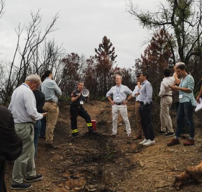 Visita a una de las zonas afectadas por el incendio de Les Gavarres.