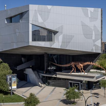 CaixaForum Zaragoza viaja a la Patagonia de la era mesozoica en una muestra sobre dinosaurios
