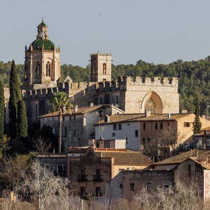 Finalitza la restauració del claustre gòtic del Reial Monestir de Santes Creus