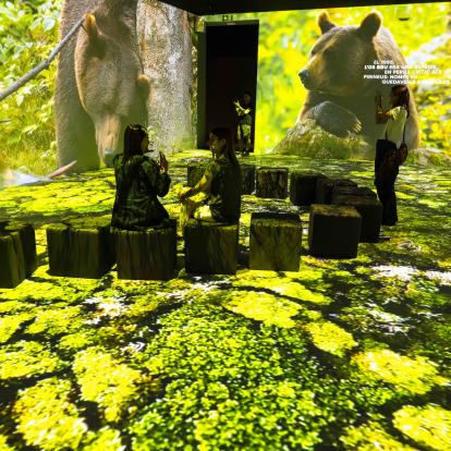 Tres perspectivas poderosas sobre la biodiversidad