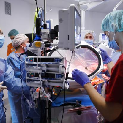 El proyecto fetaLife de BCNatal para los prematuros más extremos logra una supervivencia de 21 días en una incubadora líquida
