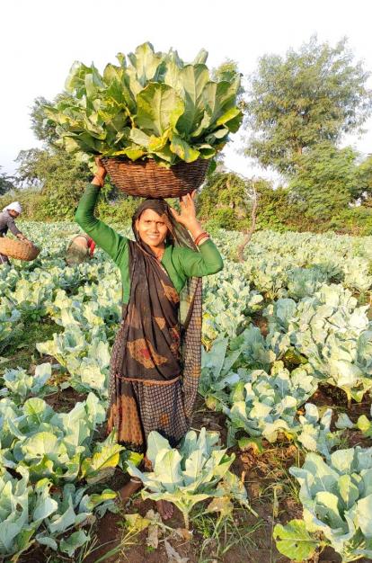 Una miembro de BASANT trabajando sus tierras. 