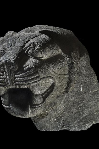 Cabeza de basalto gris de un león rugiente, siglo IX a. de C., Carcamís (frontera entre Siria y Turquía). 1927,1114.5.