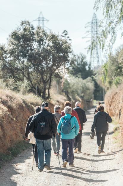 Participantes durante la caminata en un taller de senderismo.