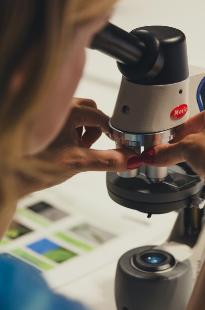 Participante en un taller sobre la vida microscópica.