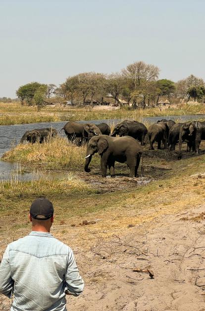 Imagen del documental «Kaza. El último refugio de elefantes», conducido por el periodista Xavier Aldekoa.