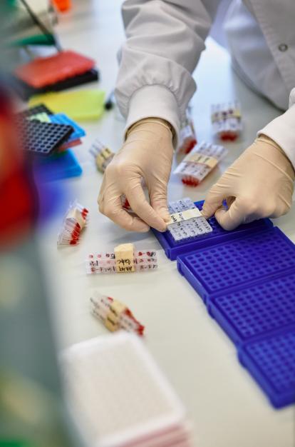 La convocatoria premia proyectos de investigación básica, clínica y traslacional. 