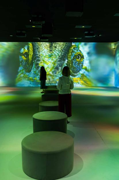 Visitantes recorren la primera sala de la exposición en CaixaForum Madrid.