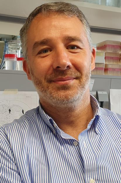 Miguel López, doctor en Biología, catedrático de la Universidade de Santiago de Compostela y director del grupo NeurObesity.